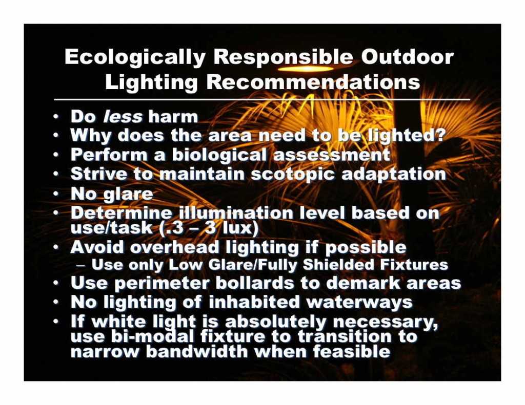 Ecological Lighting 3