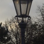 Decorative Street Light